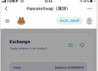 tokenpocket密码找不到,tokenpocket钱包如何提现