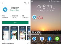 关于Telegram填写手机号无法进入的信息