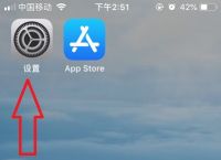 苹果手机不能下载网页软件怎么办,为什么苹果手机下载不了网页软件怎么办