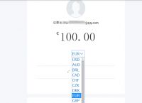 小狐狸钱包paypal充值慢的简单介绍