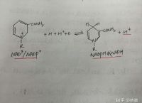 生物化学TG是什么意思,生物化学gpt什么的缩写