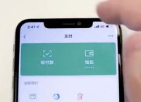 苹果手机为什么不能下载钱包,苹果手机为什么不能下载钱包软件