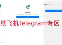 包含Telegram纸飞机ios的词条