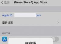 怎么绕过appstore下载软件,苹果如何绕过appstore下载应用