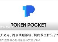 tp钱包tpt,TP钱包tpt 模型