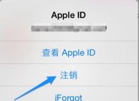 iphone不能下载软件怎么办,苹果手机不能下载app怎么解决方法