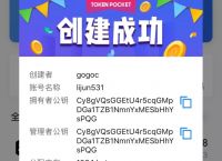 tokenpocket怎么用,tokenpocket钱包如何提现