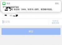 纸飞机接受不了验证码,纸飞机聊天软件怎么注册不了