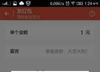 冷钱包的钱被下载,冷钱包的币被转走能不能找回