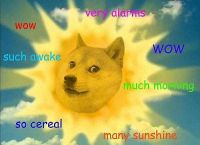 imtoken没有doge,imtoken怎么没有usdt