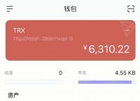 usdt钱包怎么下载,usdt钱包怎么下载苹果