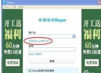 skype登录,skype登录后界面空白