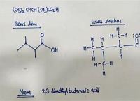 ethanolicsodium,beegeesstayinalive