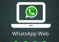 Whatsapp官网手机版,whatsapp official website