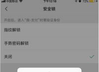 苹果钱包交易密码不正确,applepay 交易密码错误
