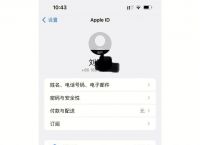 苹果手机下载不了软件怎么回事图片,苹果手机下载软件图片出不来是什么原因