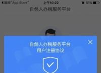 下载个人所得税的步骤,下载个人所得税怎么操作