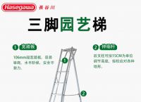 梯子大全vp、梯子大全vpn手机