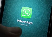whatsapp安卓版下载2021、whatsapp安卓版下载2022最新