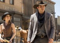 westworld西部世界梯子的简单介绍