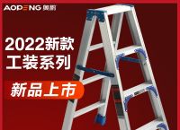 看网站的梯子是什么、网站用梯子是什么意思