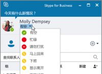 skypeforbusinesswebapp、skypeforbusiness2016怎么卸载