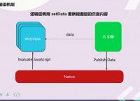 webviewtoken、webview2安装程序无法启动