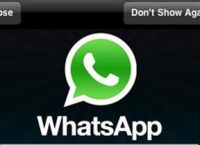 whatsapp安卓、whatsapp安卓版下载最新版