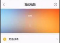 小狐狸钱包在哪里退出登录啊、小狐狸钱包在哪里退出登录啊微信
