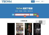tiktok官网下载入口、tiktok官方app下载