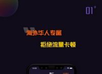 无极vp加速器、无极加速器官网下载