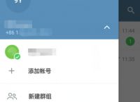 苹果纸飞机怎么用国内手机号注册的简单介绍