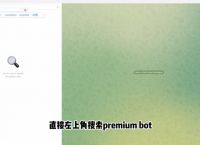 纸飞机大会员怎么开、纸飞机ssr官网充值