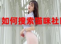猫咪社区官网址一、猫咪官网社区为什么没有了