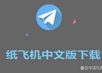 纸飞机怎么弄中文版[纸飞机安装中文版怎么弄]