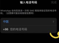 关于whatsapp在国内怎么无法连接网络的信息