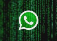 whatsapp最新安卓下载、whatsapp安卓新版免费下载