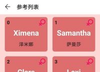 飞机app英文名、国外飞机英文app