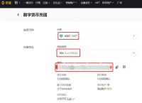 usdt钱包中文版、USDT钱包中文版下载
