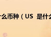 us属于什么币种、usd属于什么币种