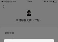 小狐狸钱包转不了账、小狐狸钱包助记词登录