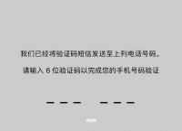 下载whatsapp怎么用不了、为什么下载了whatsapp用不了