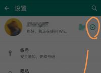 whatsapp手机号码无法接收验证码、whatsapp 手机号码无法接收验证码