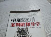 梯子电脑版免费、电脑版的梯子软件有哪些