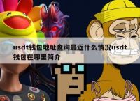 关于USDT钱包地址是什么意思的信息