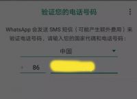 包含whatsapp在中国大陆怎么才能用的词条