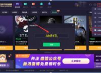 极光vp加速器3.07的简单介绍
