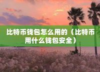 比特币最安全的冷钱包、比特币冷钱包平台倒闭怎么办