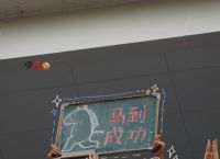 纸飞机语言包怎么弄、纸飞机安装zh_cn语言包