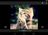 APtoide、aptoidetv官网下载apk
